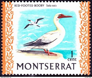 MONTSERRAT 1970 QEII 1c Multicoloured, Birds-Red-Footed Booby SG242 MNH