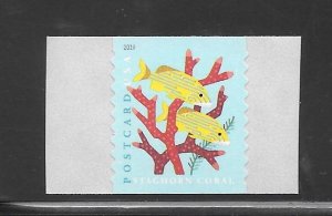 #5368 MNH Coral Reefs Postcard Single