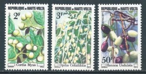 Burkina Faso #423-4,427 NH Indigenous Fruit