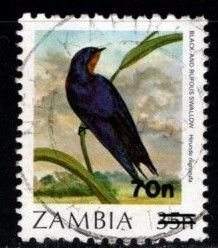 Zambia - #490 Black and Roufus Swallow Surcharged - Used