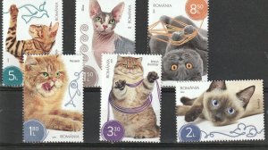 Romania STAMPS 2020 CATS SET MNH POST BRITISH SHORTHAIR