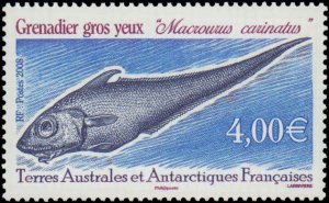 French Southern & Antarctic Territory #402, Complete Set, 2008, Fish, Never H...