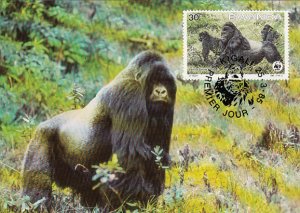 Rwanda 1985 Maxicard Sc #1211 30fr Mountain gorilla WWF