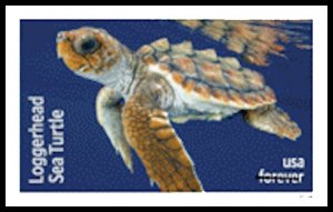 US 5865a-5870a Protect Sea Turtles imperf NDC set 6 MNH 2024