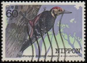 Japan 1543 - Used - 60y White-backed Woodpecker  (1984)