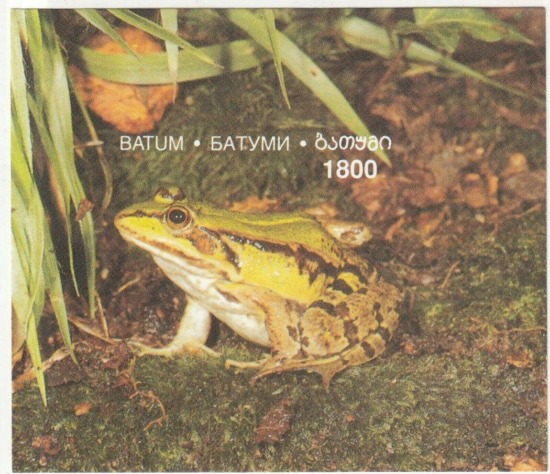 Batum; Local Issue, 1800 Val, Tropical Frog Imperf Sheetlet MNH, Animals 