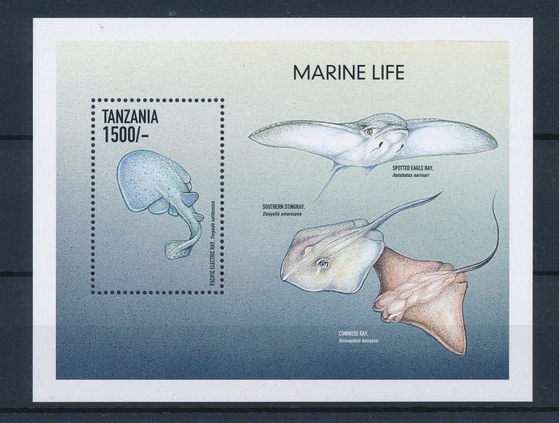 [48017] Tanzania 1999 Marine life fish Stingray rays Souvenir Sheet MNH