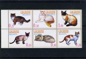 Gagauzia Moldova 1978 DOMESTIC CATS (6) values Perforated Mint (NH)