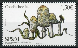 Saint-Pierre & Miquelon SP&M Mushrooms Stamps 2020 MNH Shaggy Mane Fungus 1v Set