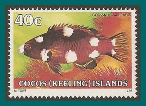 Cocos 1979 Coral Hogfish, MNH #45,SG43