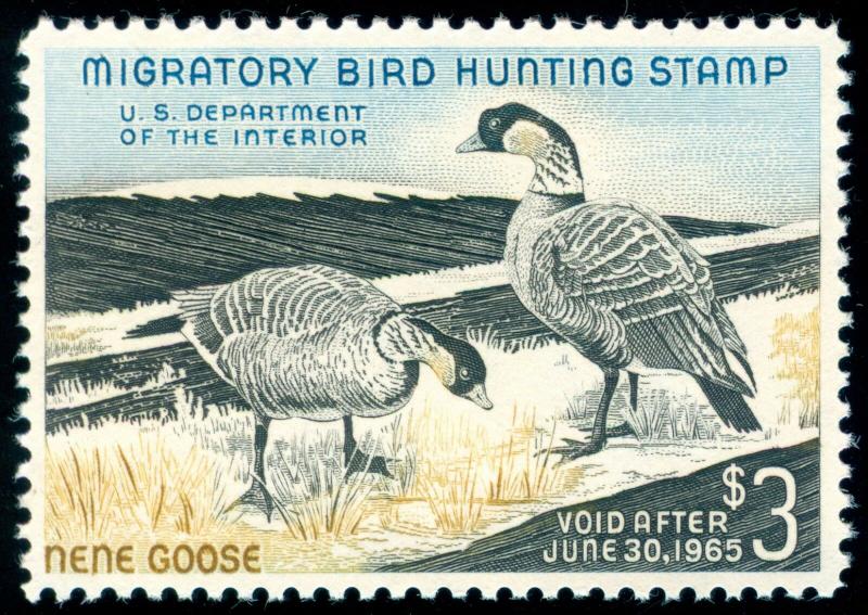 MOMEN: US STAMPS #RW31 MINT OG NH DUCK XF