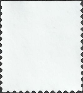 # 3295 USED RASPBERRIES