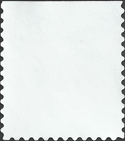 # 3295 USED RASPBERRIES