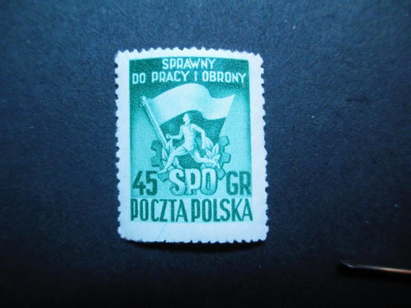 Poland #521  Mint Never Hinged -  WDWPhilatelic 2