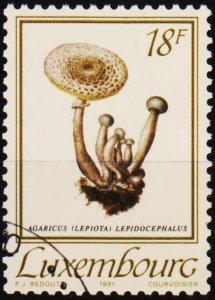 Luxembourg. 1991 18f S.G.1287 Fine Used