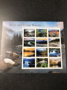 US 5381 Wild and Scenic Rivers Pane of 12 Forever Stamps Mint Never Hinged
