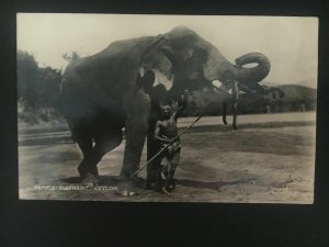 1940 Ceylon RPPC postcard Cover to Antrim  N Ireland Censored Temple Elephant