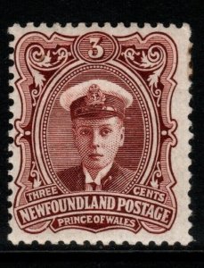 NEWFOUNDLAND SG119 1911 3c RED-BROWN MTD MINT