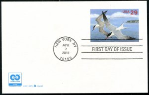 UX621 US 29c Common Terns PC, FDC