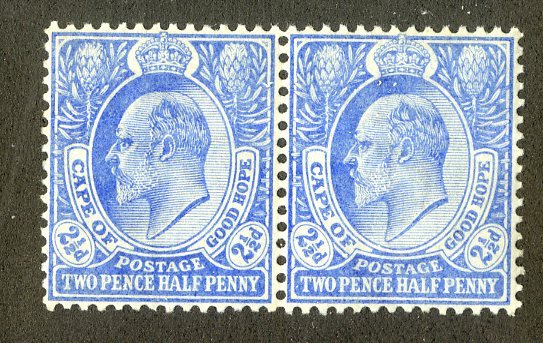 CAPE OF GOOD HOPE  66 MNH PAIR SCV $11.50 BIN $6.50 ROYALTY