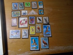 Birds  #  12  used / MNH