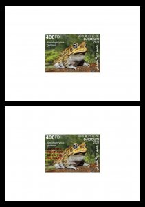 DJIBOUTI 2023 DELUXE PROOF (REG & ORIGINAL PACKAGING) - FROGS FROGS PANDEMIC FROGS - MNH-