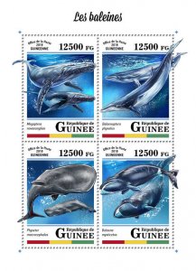 Guinea 2018 MNH Whales Whale 4v M/S Marine Mammals Animals Stamps