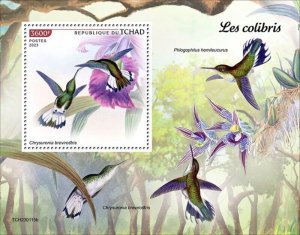 Chad - 2023 White-chested Emerald Hummingbird - Stamp Souvenir Sheet TCH230115b