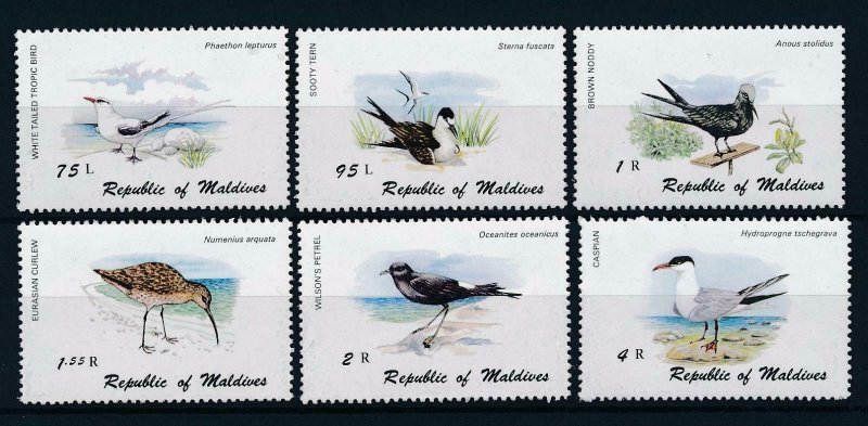 [38620] Maldives 1980 Birds vögel oiseaux tern  MNH