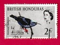 BRITISH HONDURAS SCOTT#168 1962 2c RED-LEGGED HONEYCREEPER BIRD - USED