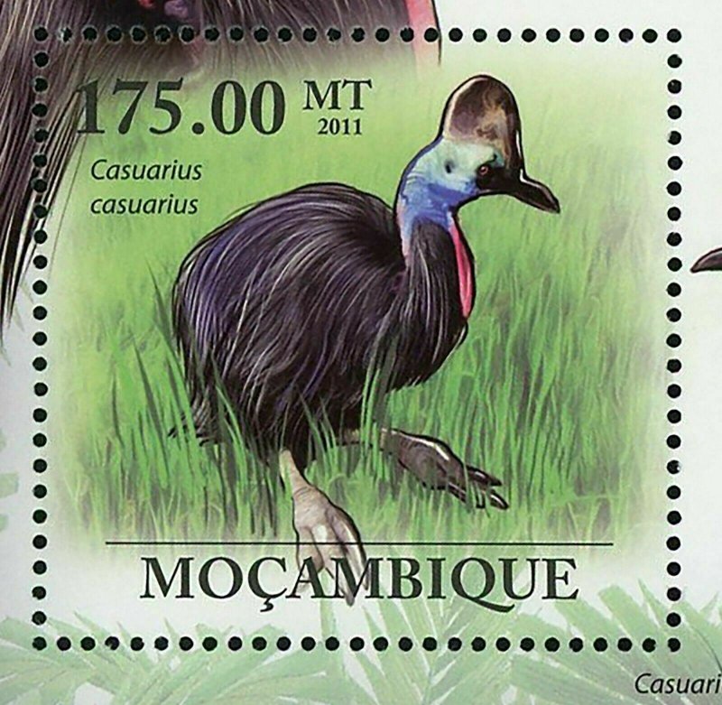 Cassowary Stamp Casuarius Casuarius Bird Souvenir Sheet MNH #4342-4347