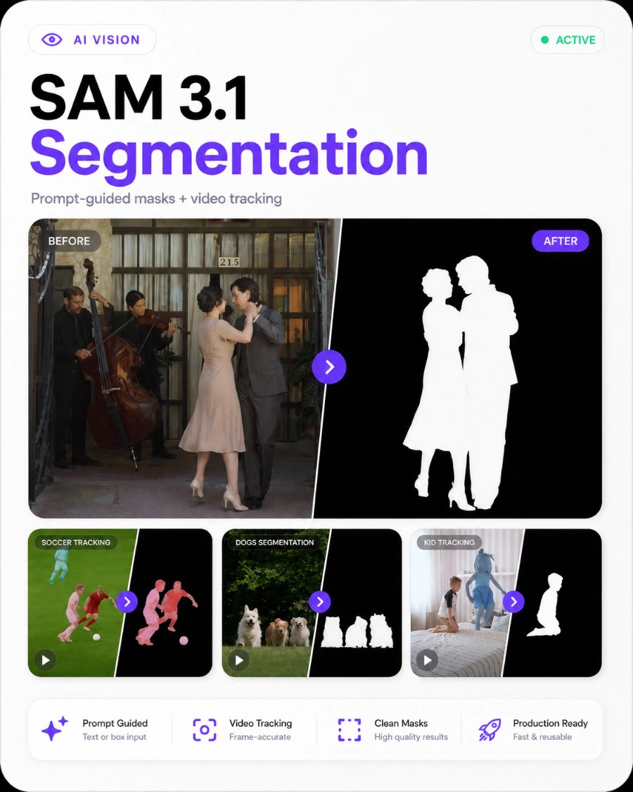 SAM 3.1 Segmentation