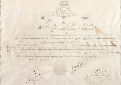 document-NYH-Napoleanauthorization