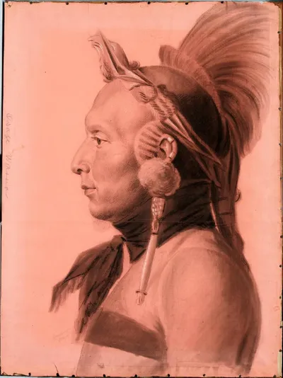 artwork-NYH-OsageWarrior