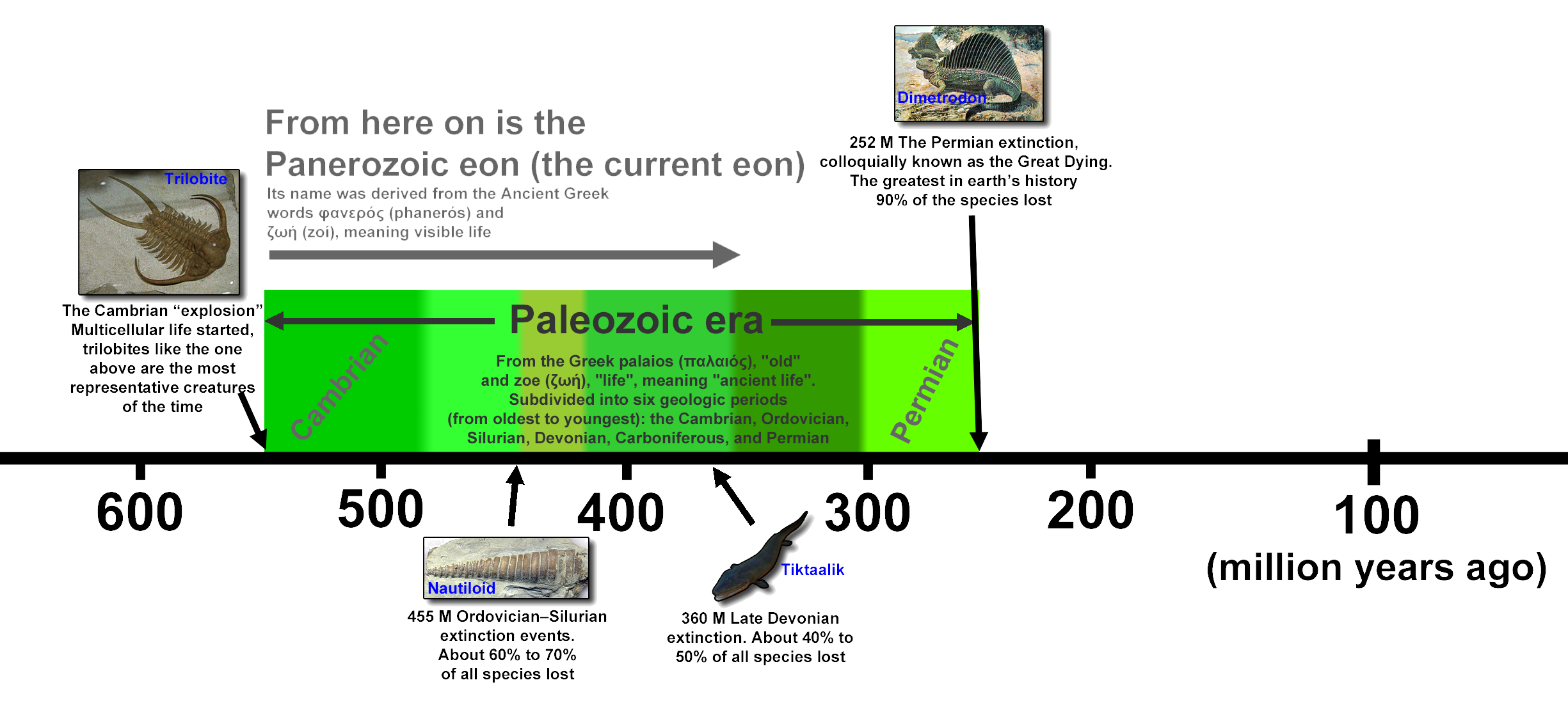 Phanerozoic eon begins