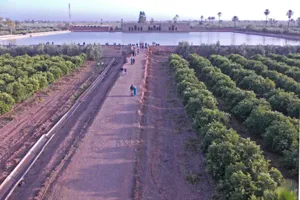 Agdal Gardens- The Marrakech City Garden