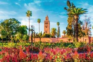 Discovering the Best Time to Visit Marrakech: Your Ultimate Seasonal Guide