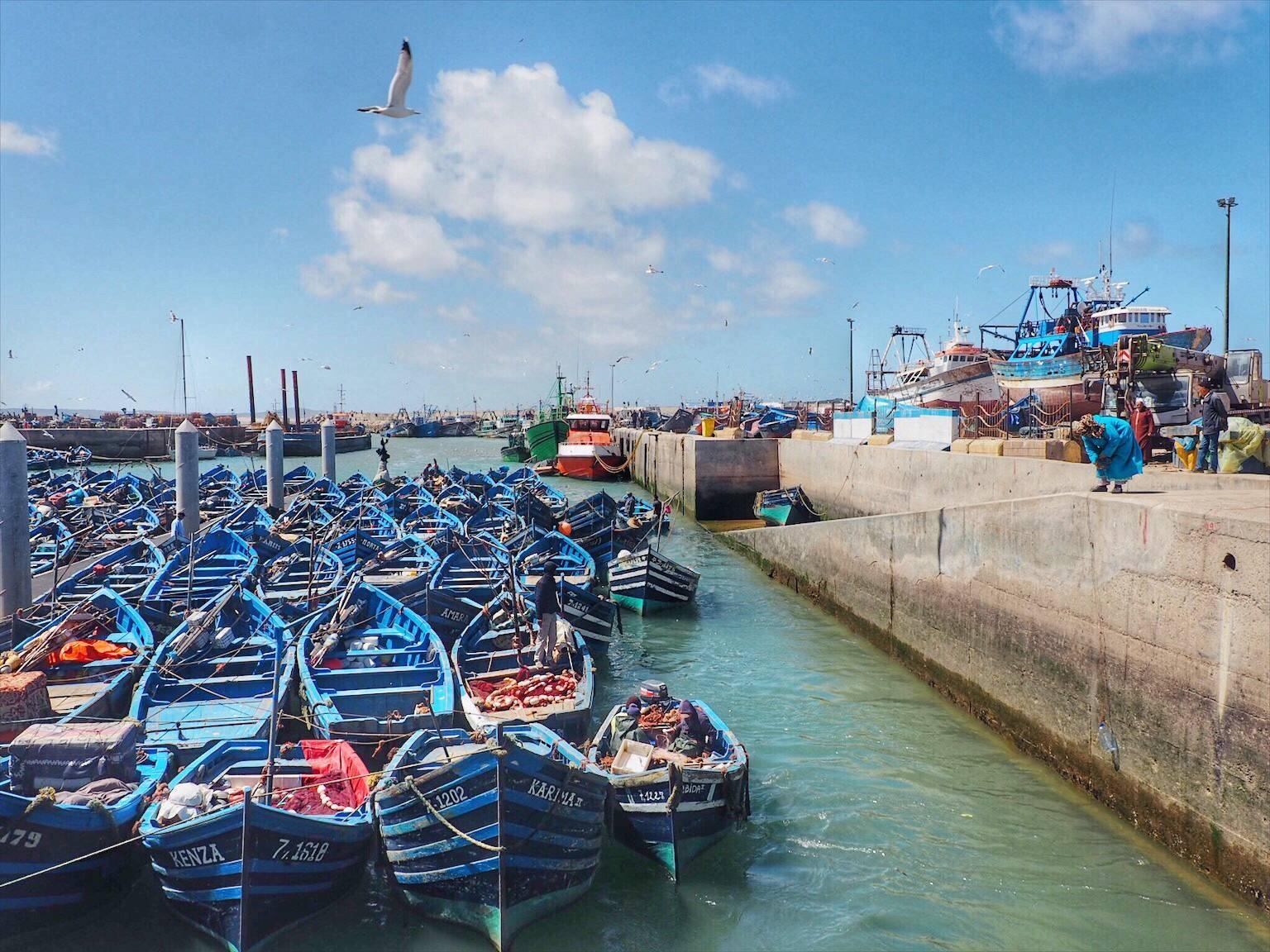 Fishing nets and blue fishing boats in Essaouira Port