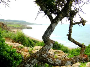 Uncover The Hidden Iftane Beach In Essaouira