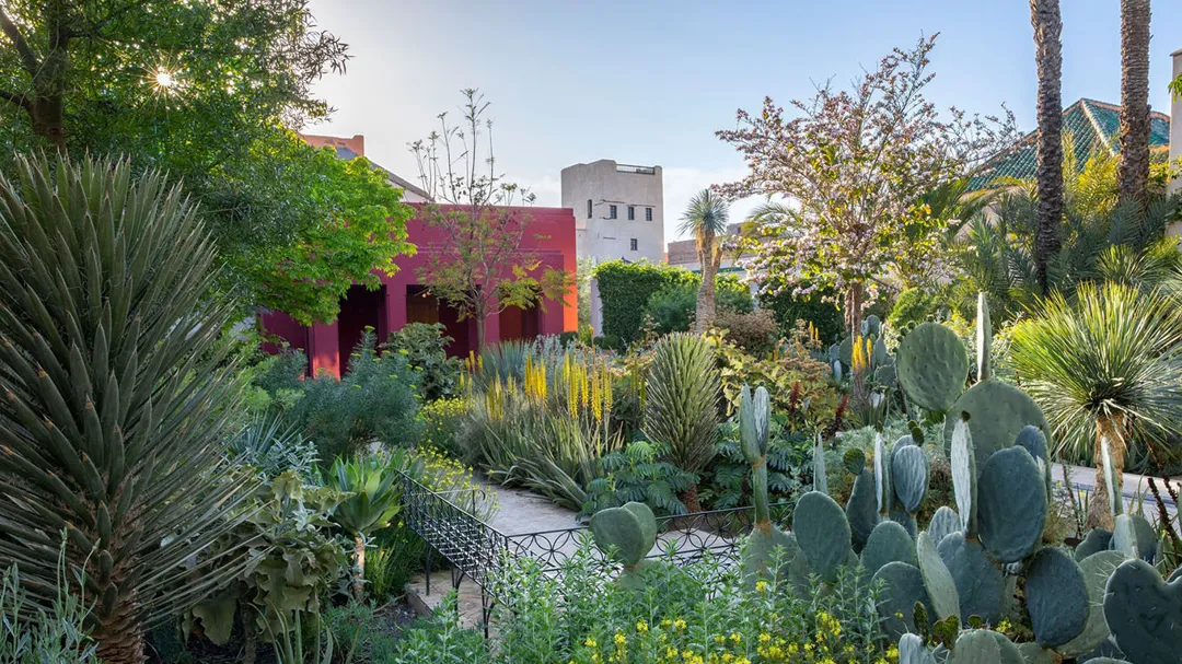 Nature's Delight: Explore Marrakech's Gardens and Parks for an Unforgettable Journey