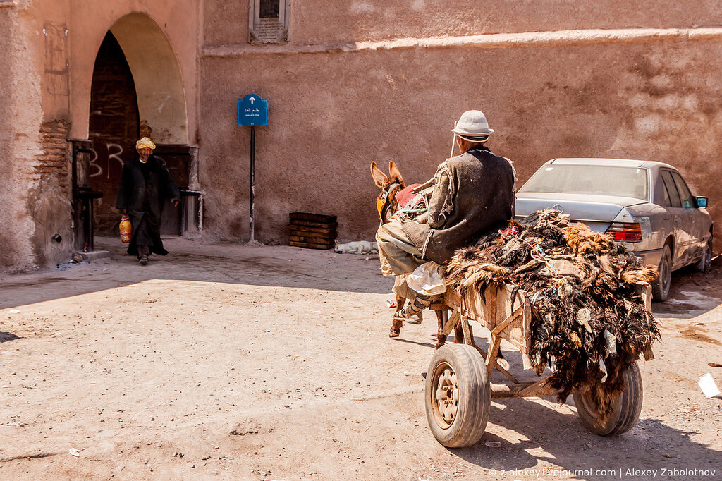 donkey carts transporting skins of goats
