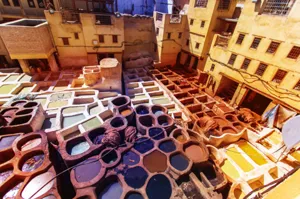 The Complete Guide To Visit Marrakech Tanneries