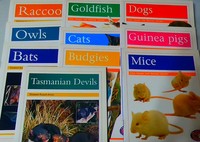 English stories book 2