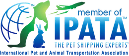 IPATA Member