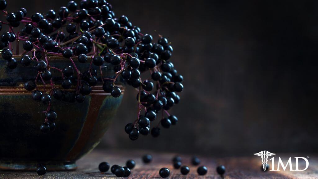 7 Health Benefits of Elderberry + Potential Dangers and Side Effects