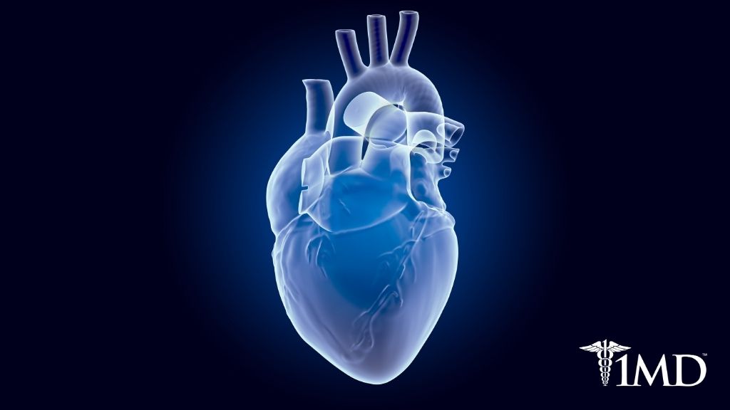 Heart Disease and You: Risks, Treatment, Prevention, and More