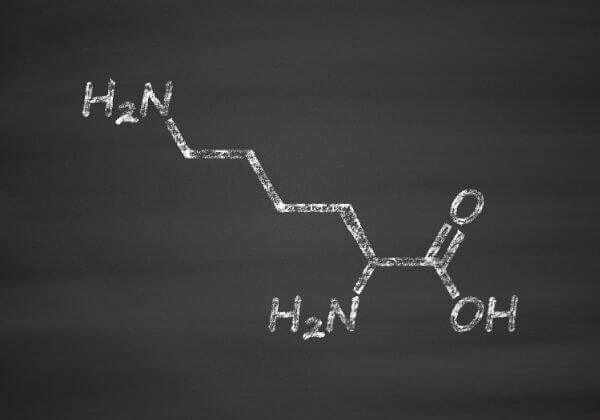 L-Lysine: Benefits, the Right Dosage, and Warnings