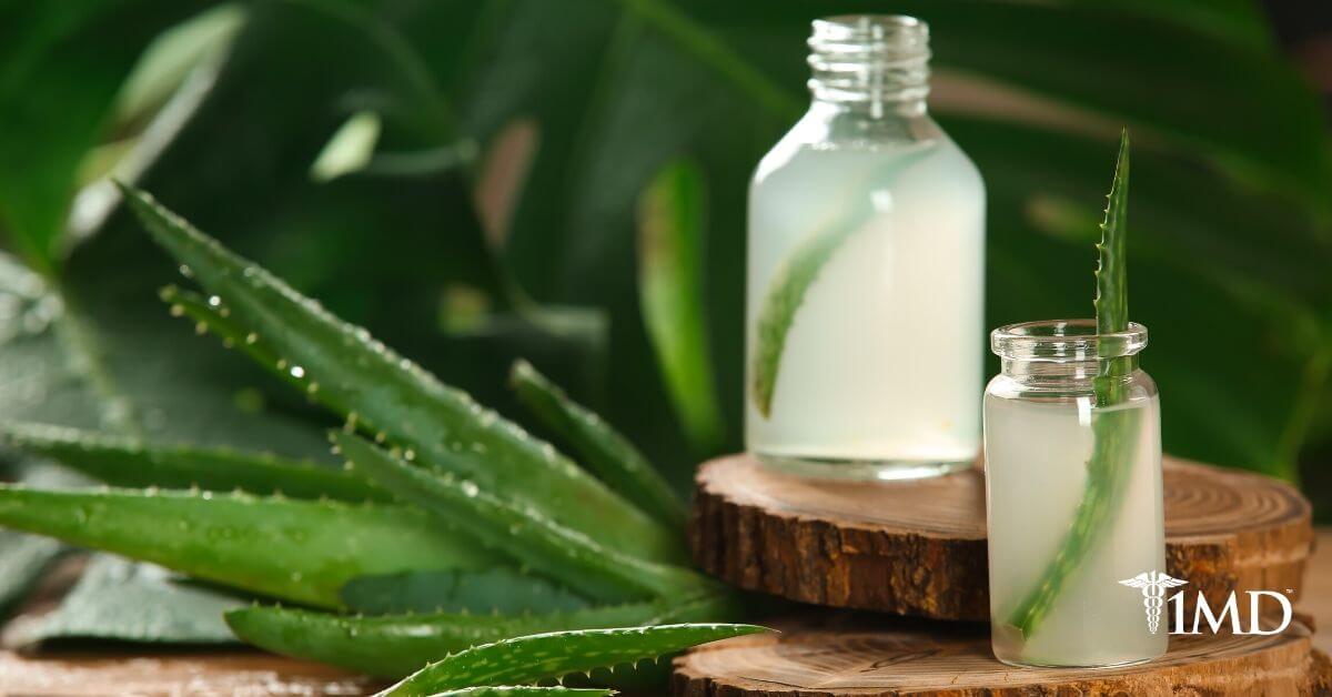 7 Ways Aloe Vera Benefits Your Health As A Natural Remedy And More 1md 5617