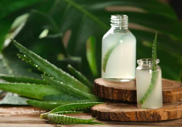 7 Ways Aloe Vera Supports Your Health and More 