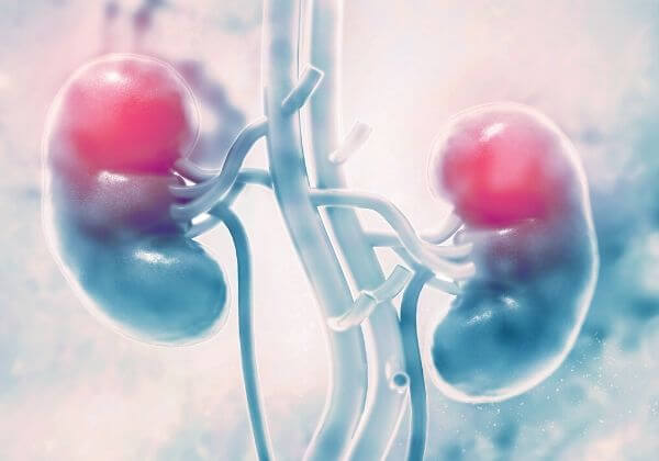 What Is Kidney Failure? - Men's Health - 1MD